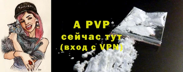 кокс Белокуриха
