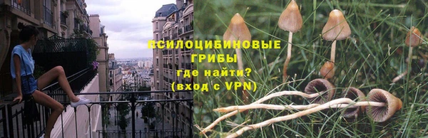 кокс Белокуриха