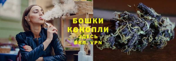 PSILOCYBIN Кинешма
