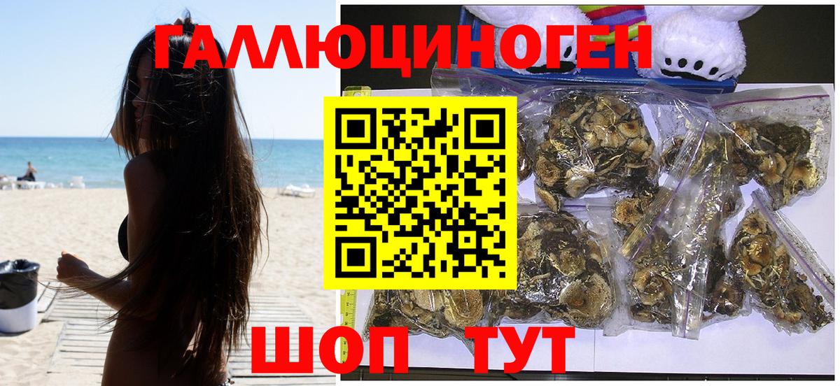 Галлюциногенные грибы мицелий  Вход с VPN  Псилоцибиновые грибы GOLDEN TEACHER  Бутурлиновка 